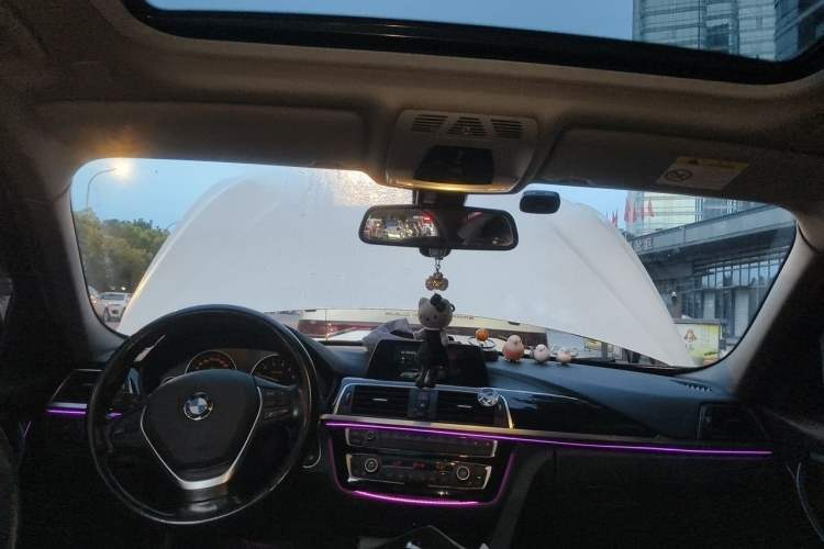 Used BMW 3 Series 2018 320Li Fashion Model Headliner