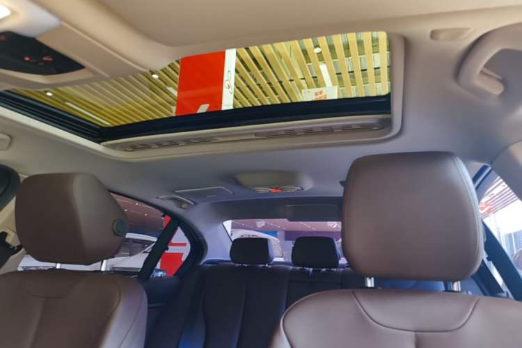 Used BMW 3 Series 2018 320Li Fashion Model Headliner