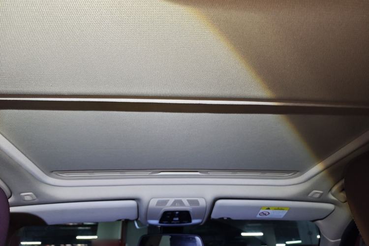 Used BMW 3 Series 2018 320Li Fashion Model Headliner