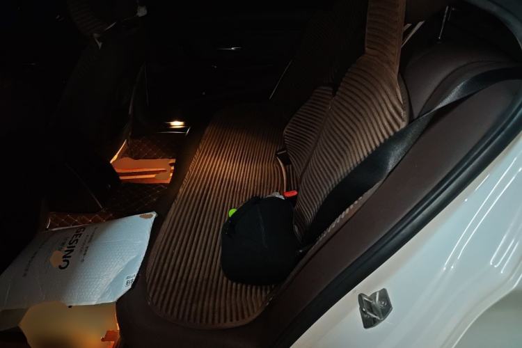 Used BMW 3 Series 2018 320Li Fashion Model Left Rear Seat