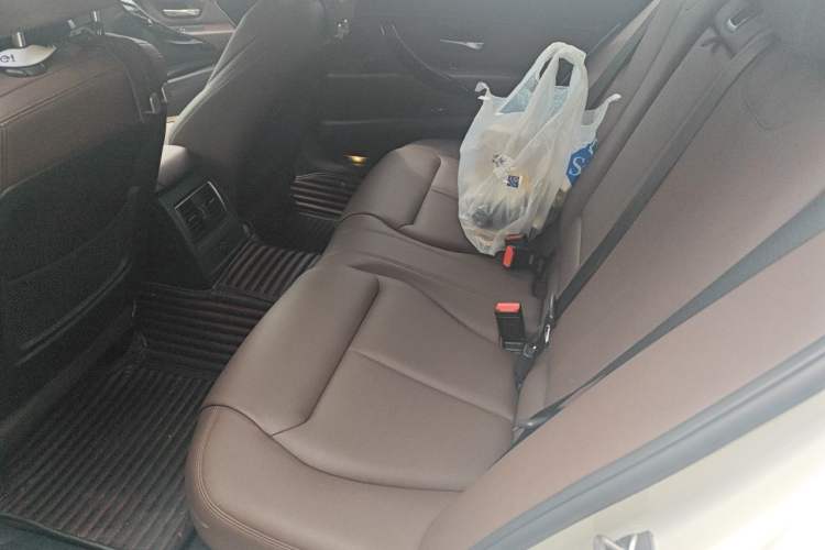 Used BMW 3 Series 2018 320Li Fashion Model Left Rear Seat