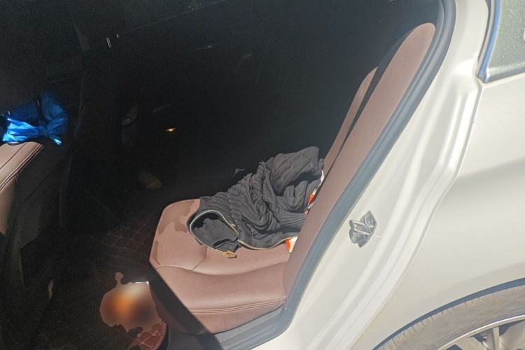 Used BMW 3 Series 2018 320Li Fashion Model Left Rear Seat