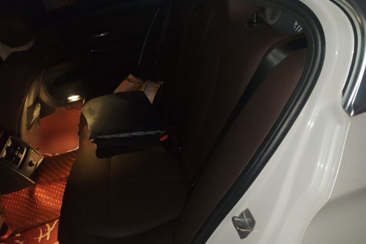 Used BMW 3 Series 2018 320Li Fashion Model Left Rear Seat