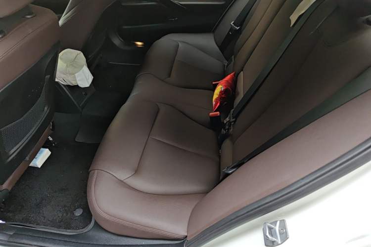Used BMW 3 Series 2018 320Li Leading Model M Sport Package Left Rear Seat