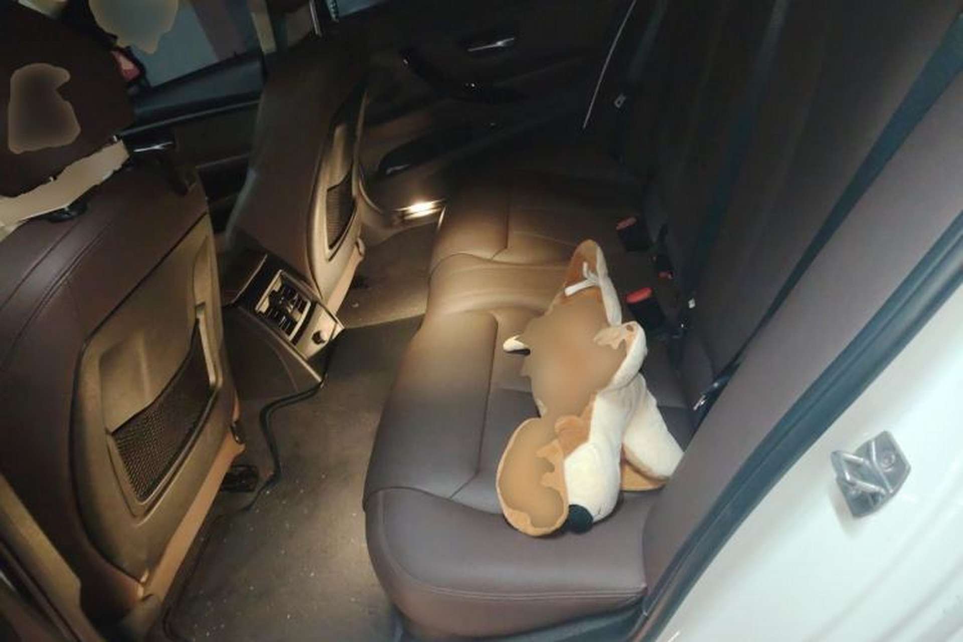 Used BMW 3 Series 2018 320Li Leading Model M Sport Package Left Rear Seat