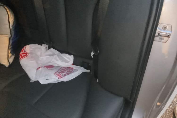 Used BMW 3 Series 2018 320Li Fashion Model Left Rear Seat