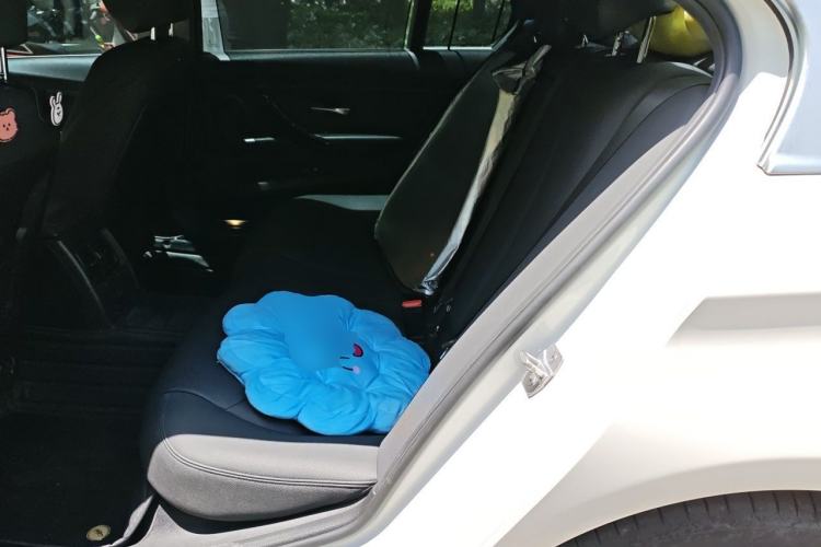 Used BMW 3 Series 2018 320Li Fashion Model Left Rear Seat