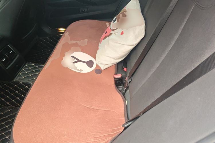 Used BMW 3 Series 2018 320Li Fashion Model Left Rear Seat