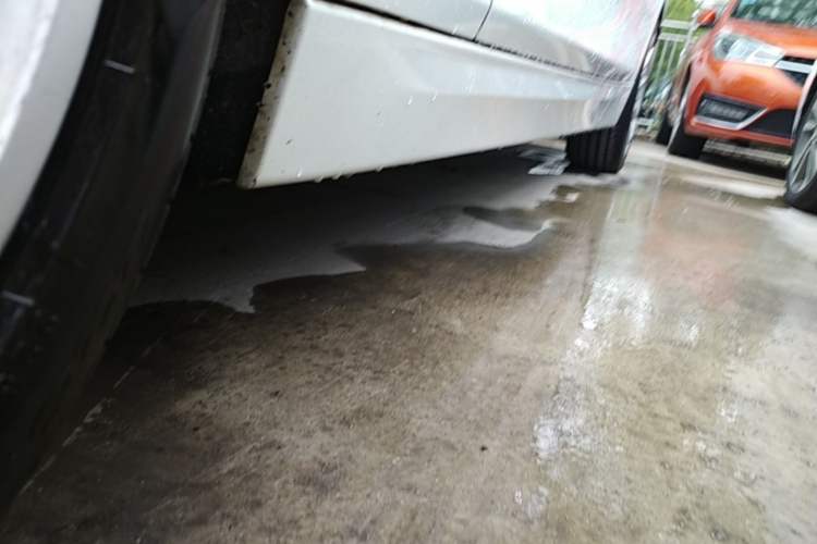 Used BMW 3 Series 2018 320Li Fashion Model Left Side Sill