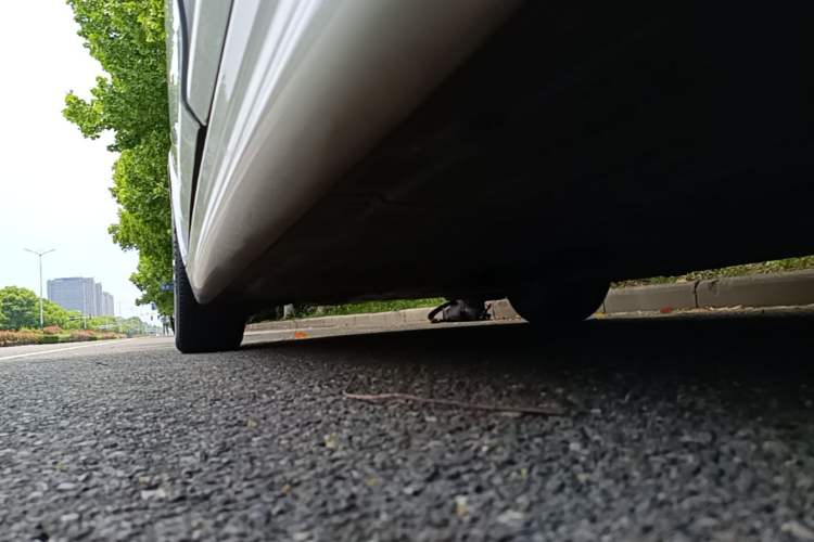 Used BMW 3 Series 2018 320Li M Sport Night Edition Left Side Sill