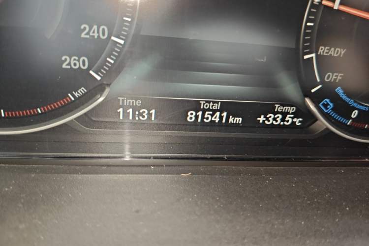 Used BMW 3 Series 2018 320Li Leading Luxury Package Odometer Close Up
