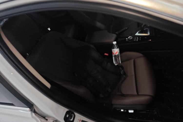 Used BMW 3 Series 2018 320Li Fashion Model Right Front Seat