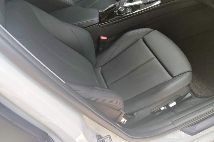 Used BMW 3 Series 2018 320Li Fashion Model Right Front Seat