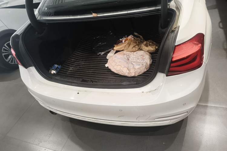 Used BMW 3 Series 2018 318i Trunk