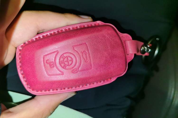 Used BMW 3 Series 2018 320Li Fashion Model Vehicle Key