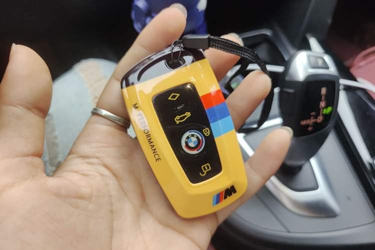 Used BMW 3 Series 2018 320Li Fashion Model Vehicle Key