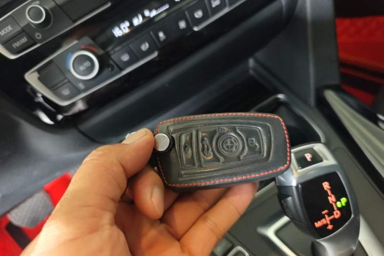 Used BMW 3 Series 2018 318Li Vehicle Key