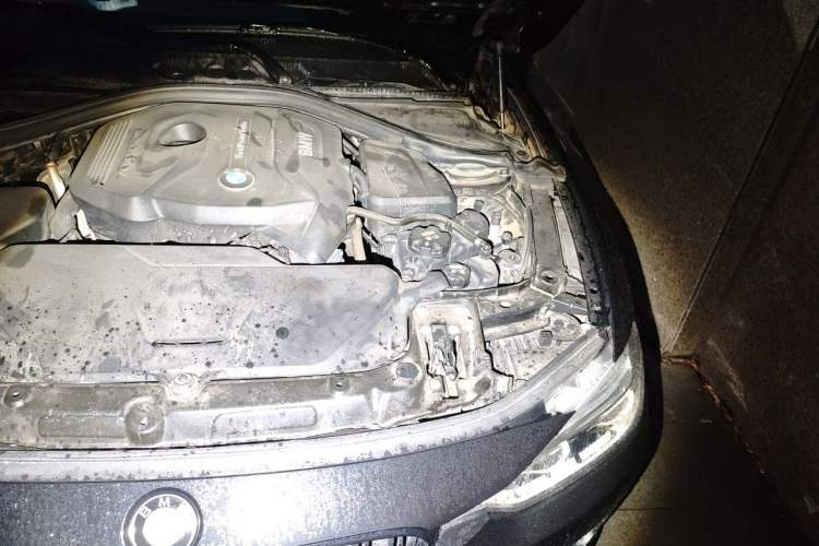 Used BMW 3 Series 2019 320Li Fashion Model Engine Bay Left