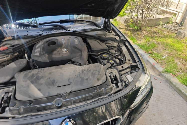 Used BMW 3 Series 2019 320Li M Luxury Package Engine Bay Left