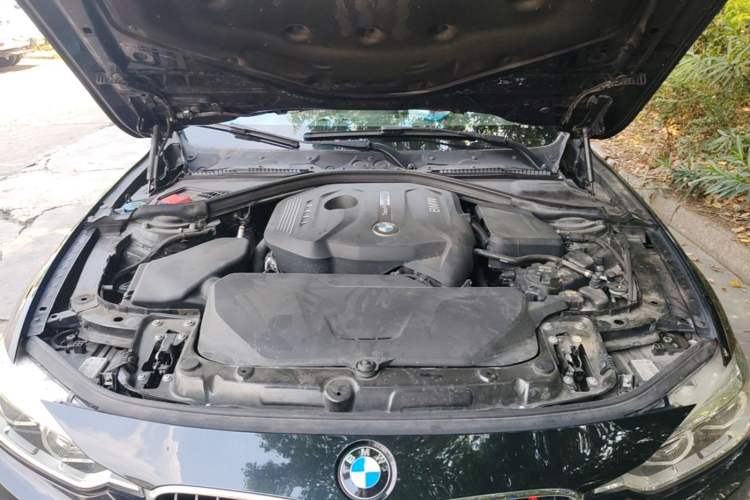 Used BMW 3 Series 2019 320Li M Luxury Package Engine Bay