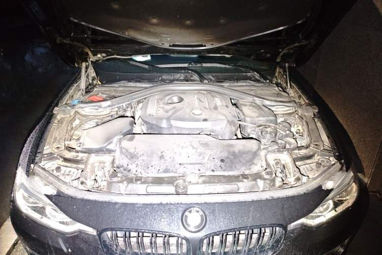 Used BMW 3 Series 2019 320Li Fashion Model Engine Bay