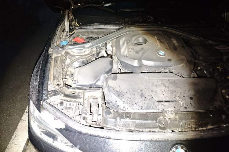 Used BMW 3 Series 2019 320Li Fashion Model Engine Bay Right