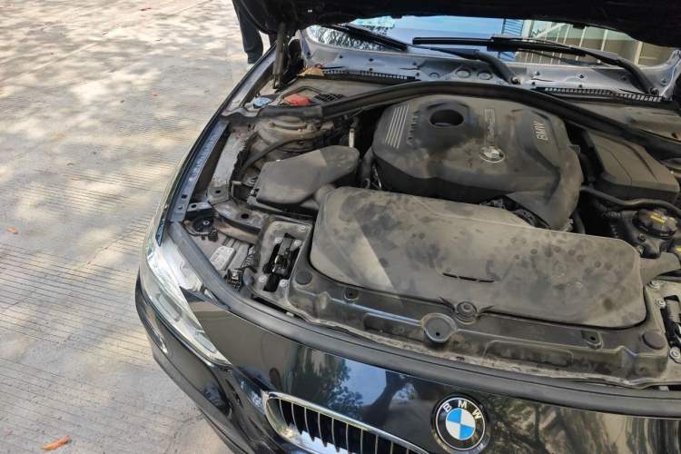 Used BMW 3 Series 2019 320Li M Luxury Package Engine Bay Right