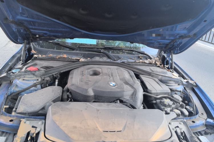 Used BMW 3 Series 2019 320Li M Sport Package Engine Bay