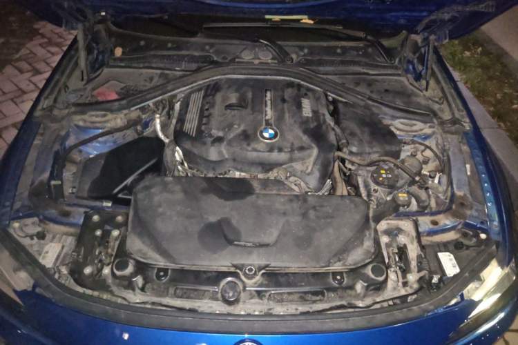 Used BMW 3 Series 2019 320Li M Sport Night Edition Engine Bay