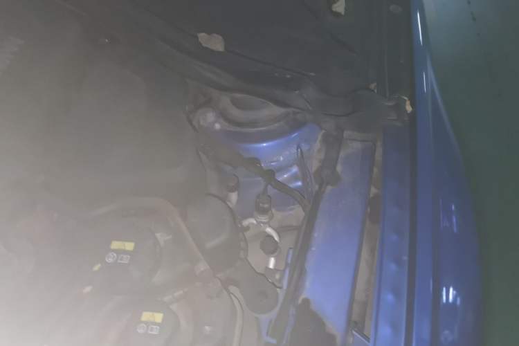 Used BMW 3 Series 2019 320Li M Sport Night Edition Engine Bay Left