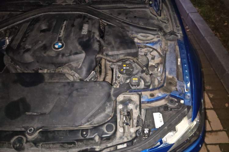 Used BMW 3 Series 2019 320Li M Sport Night Edition Engine Bay Left
