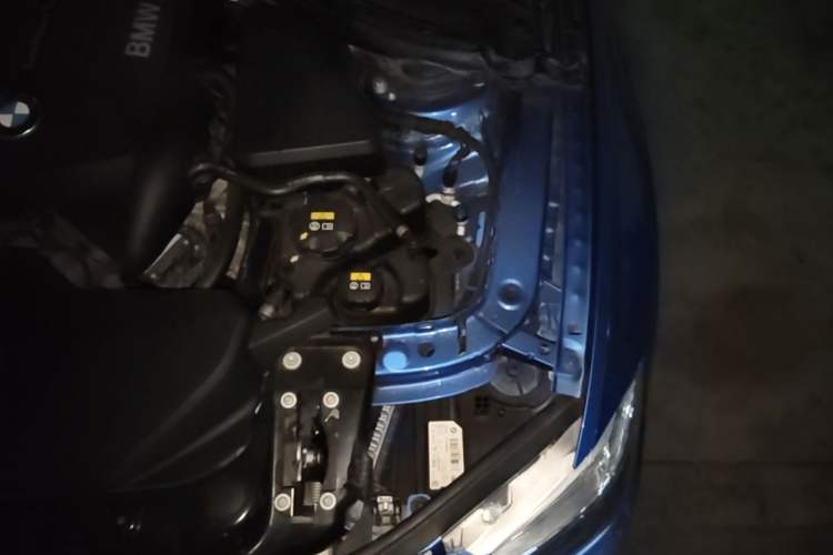 Used BMW 3 Series 2019 320Li M Sport Night Edition Engine Bay Left