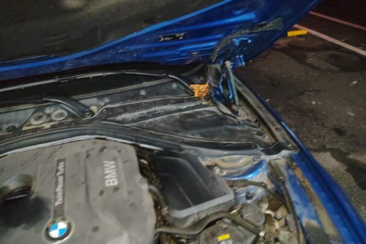 Used BMW 3 Series 2019 320Li M Luxury Package Engine Bay Left