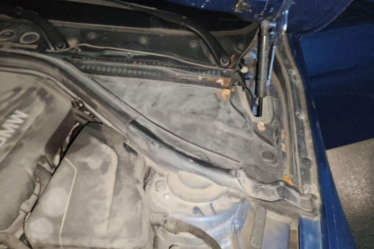 Used BMW 3 Series 2019 320Li M Sport Package Engine Bay Left