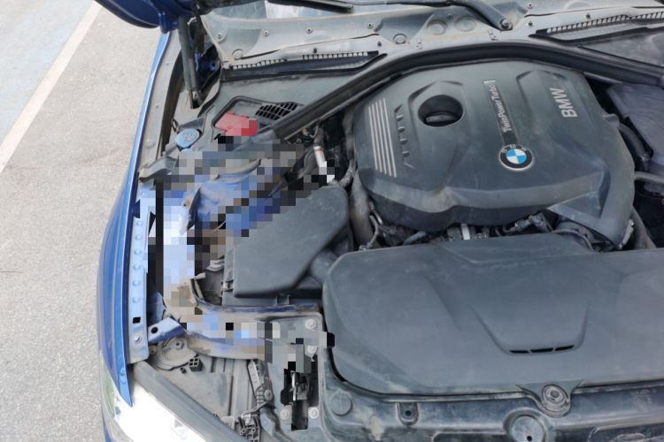 Used BMW 3 Series 2019 320Li M Sport Package Engine Bay Right