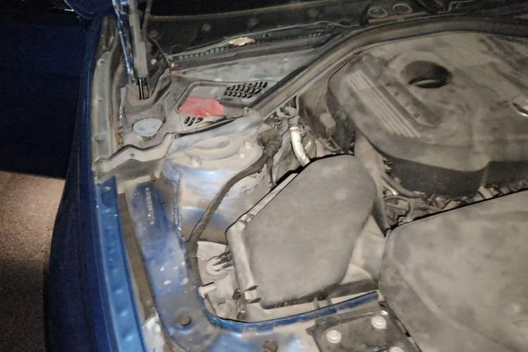 Used BMW 3 Series 2019 320Li M Sport Package Engine Bay Right