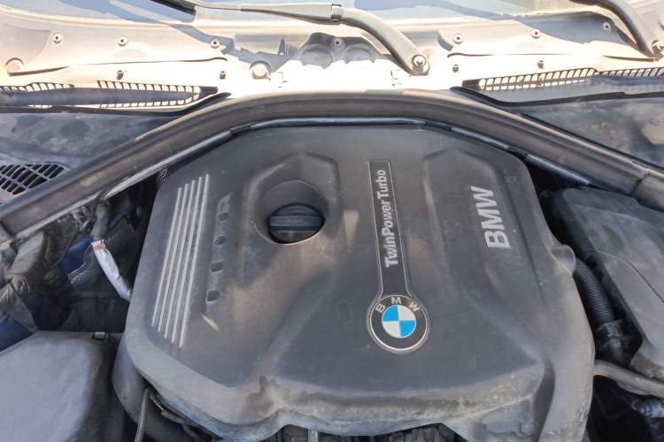 Used BMW 3 Series 2019 320Li M Sport Night Edition Engine Bay