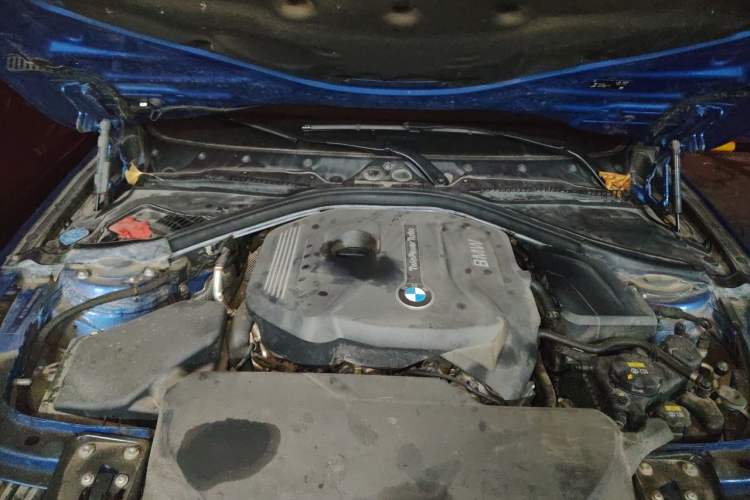 Used BMW 3 Series 2019 320Li M Luxury Package Engine Bay