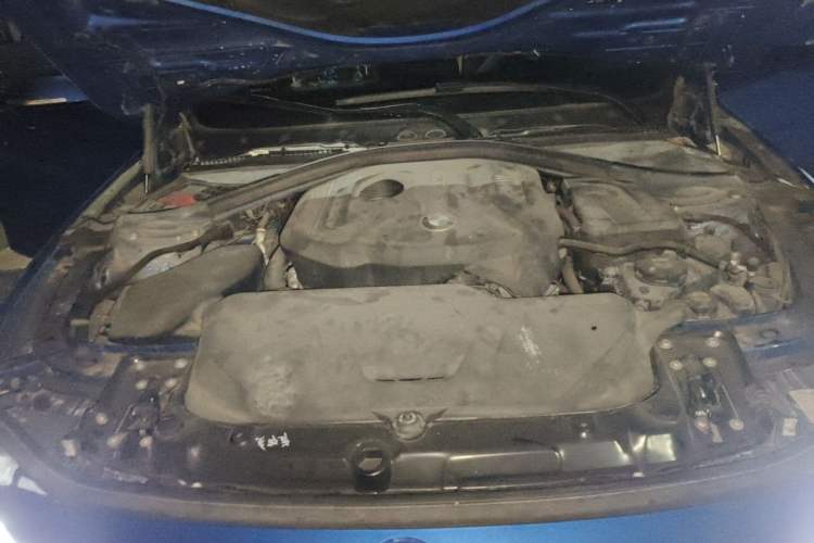 Used BMW 3 Series 2019 320Li M Sport Package Engine Bay