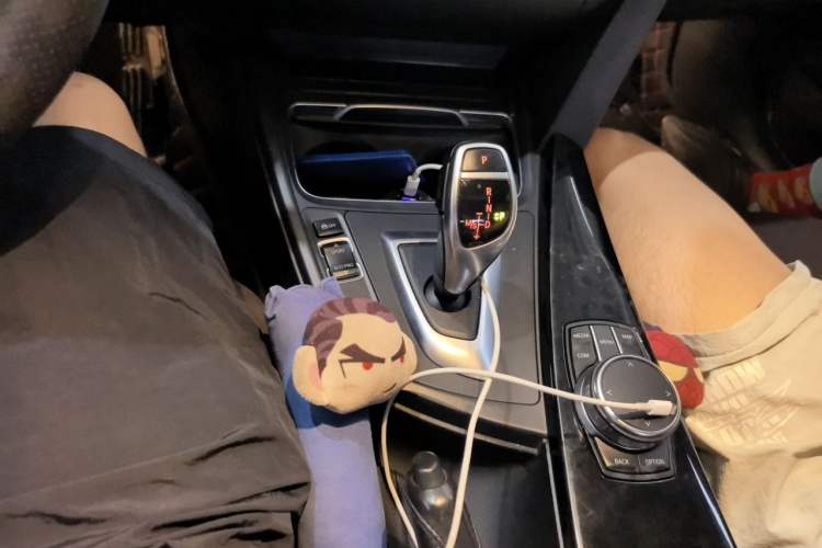 Used BMW 3 Series 2019 320Li M Luxury Package Gear Lever