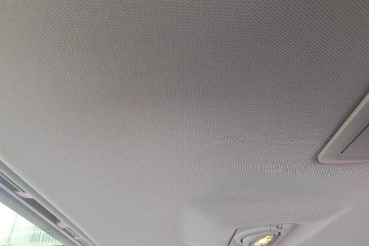 Used BMW 3 Series 2019 320Li M Sport Package Headliner