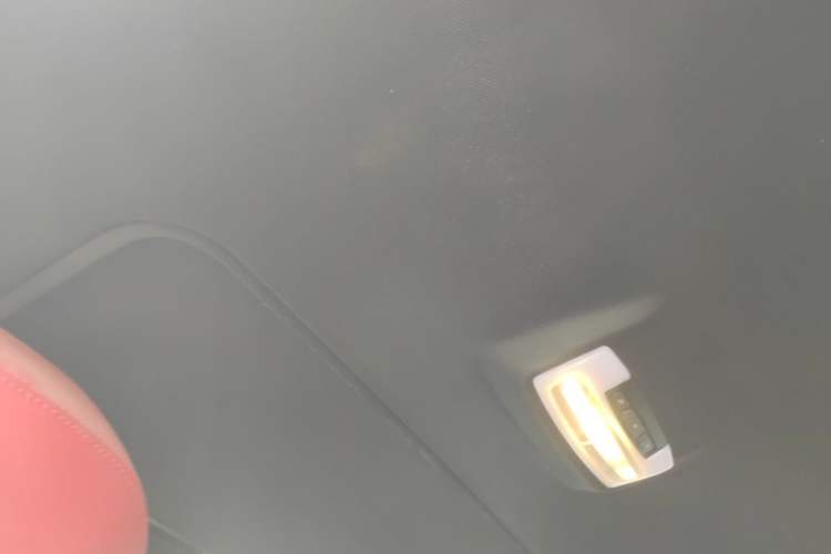 Used BMW 3 Series 2019 320Li M Sport Package Headliner