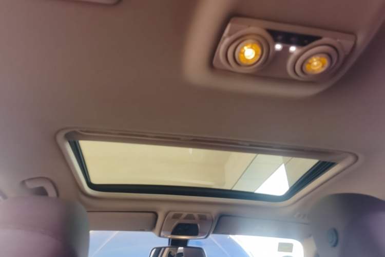 Used BMW 3 Series 2019 320Li M Luxury Package Headliner