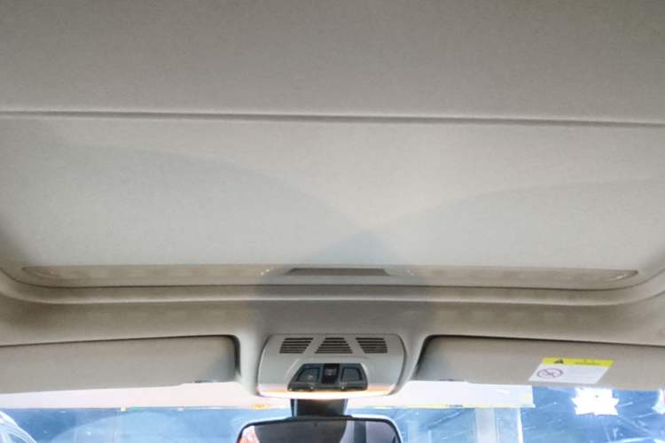 Used BMW 3 Series 2019 320Li M Sport Package Headliner
