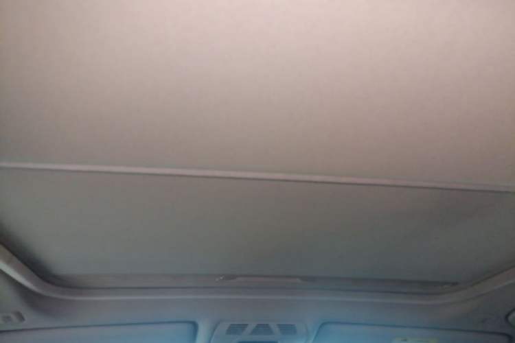 Used BMW 3 Series 2019 320Li M Sport Package Headliner