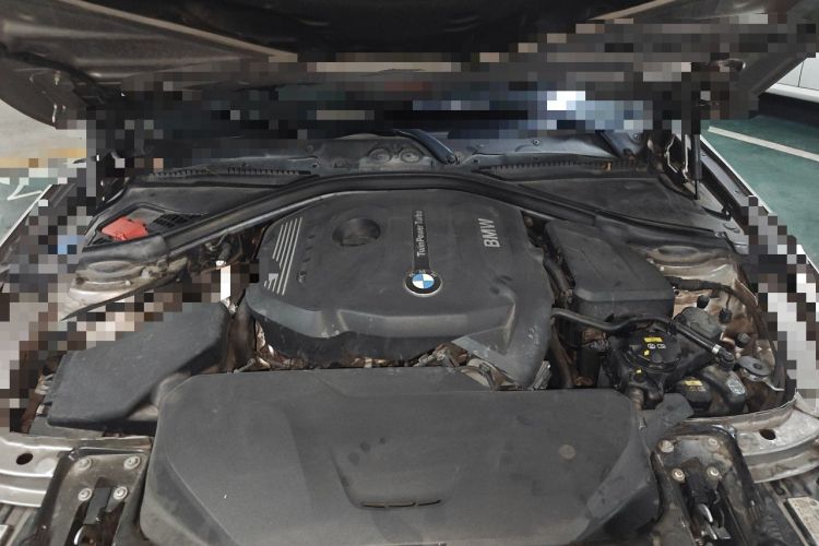 Used BMW 3 Series 2019 320Li Fashion Model Engine Bay