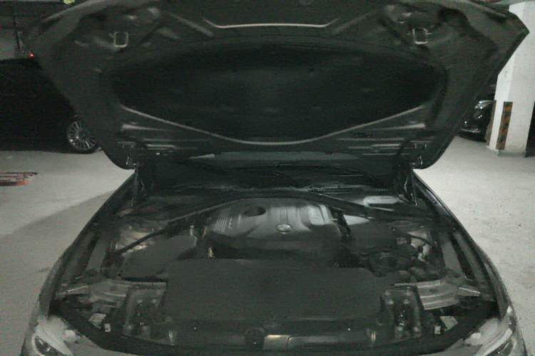 Used BMW 3 Series 2019 320Li Fashion Model Engine Bay