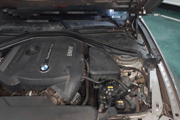 Used BMW 3 Series 2019 320Li Fashion Model Engine Bay Left