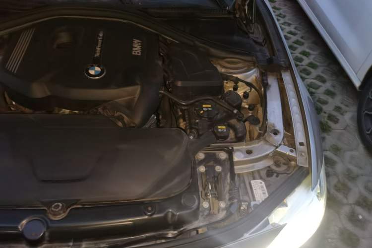 Used BMW 3 Series 2019 320Li Fashion Model Engine Bay Left