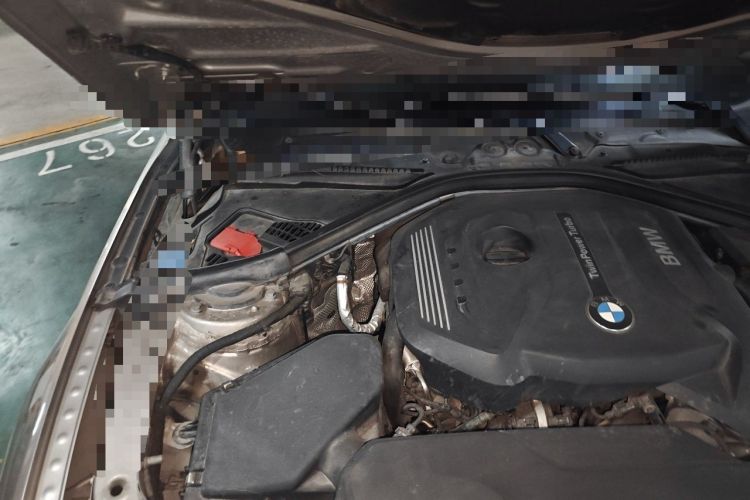 Used BMW 3 Series 2019 320Li Fashion Model Engine Bay Right